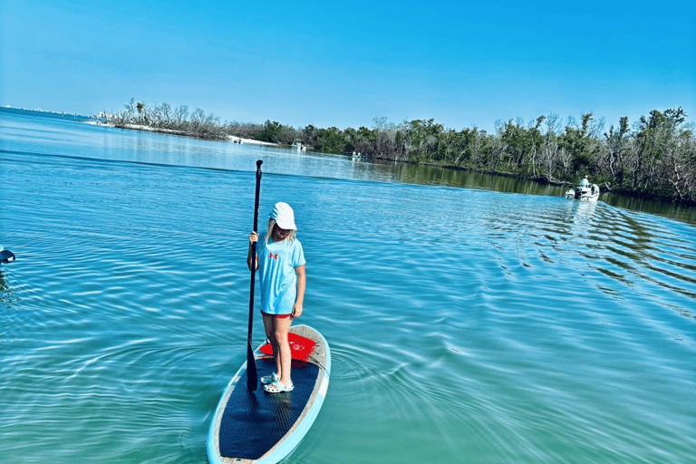 Fort Myers Dolphin & Manatee Kayak or Paddleboard Tour