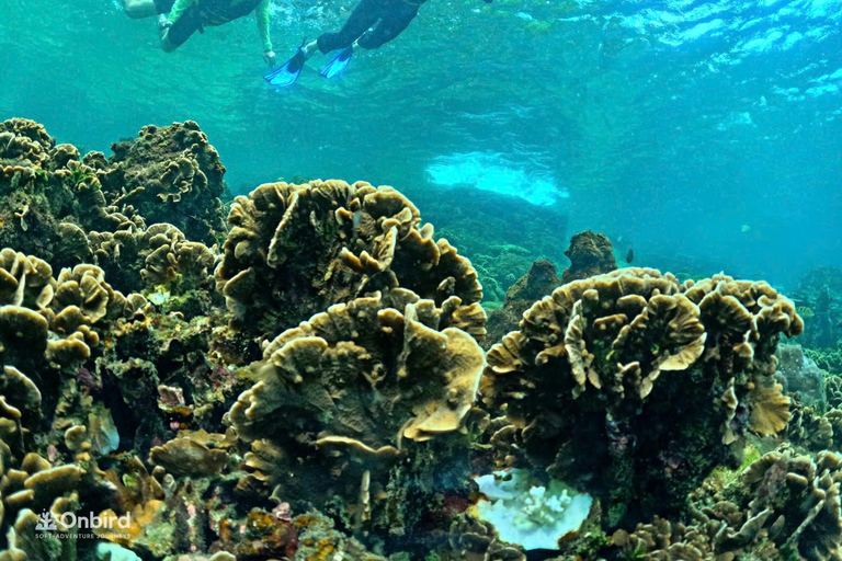Phu Quoc: 4 Island & 2 Reefs Snorkeling Tour by Speedboat Phu Quoc: Speed Boat Tour 4 Islands - 2 Reefs Snorkeling
