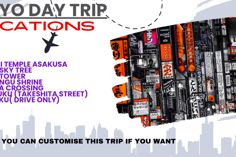 Tokio dagexcursie met privégroep in een auto of busje