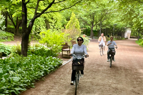 Seúl: Recorrido en Bicicleta por la Naturaleza Urbana del Río HanExcursión matinal en bicicleta