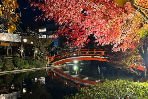 Kyoto: Fully customizable your own tour in the old capital