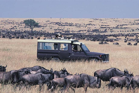 Arusha: 8-Day Serengeti Migration Safari Tour