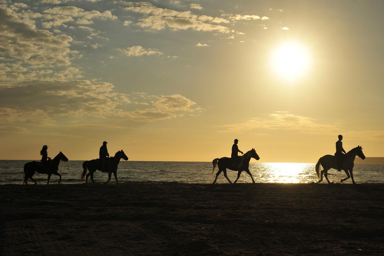 Aruba: Sunrise or Sunset Horseback Ride by the Coast