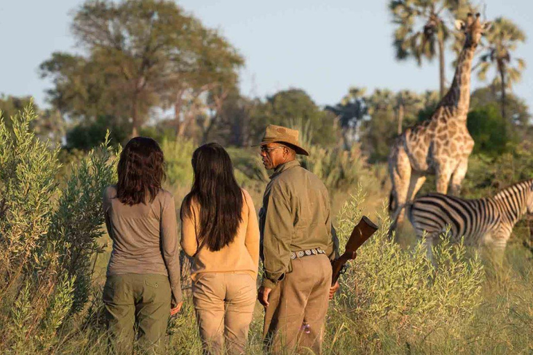 Safari de 4 días por el Parque Nacional Kruger y el Cañón del Río Blyde