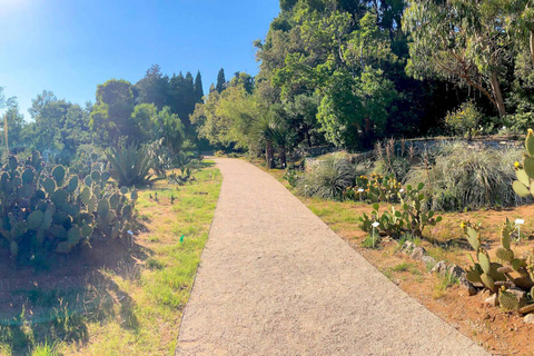 Cavtat/Mlini: Lokrum, Betina Cave, & St. Jacob’s Beach Tour From Srebreno