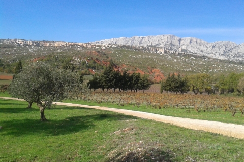 Visite de la ville d'Aix-en-Provence et visite des vignoblesVisite de la ville d'Aix-en-Provence avec dégustation de vins et de fromages