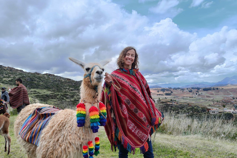 The Llamas and Alpacas Experience in Racchi Ayllo