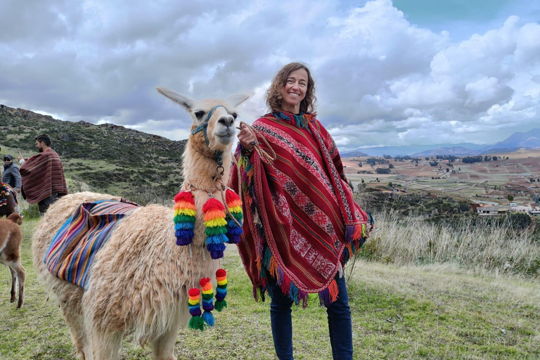 The Llamas and Alpacas Experience in Racchi Ayllo