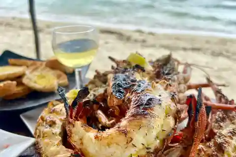 Privat: Delfin- och valmöte + grill på Benitier Island