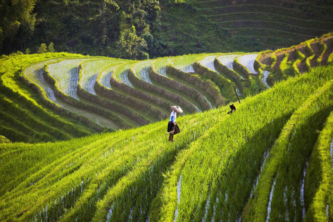 5 DAY TOUR - THE ESSENCE OF GUILIN