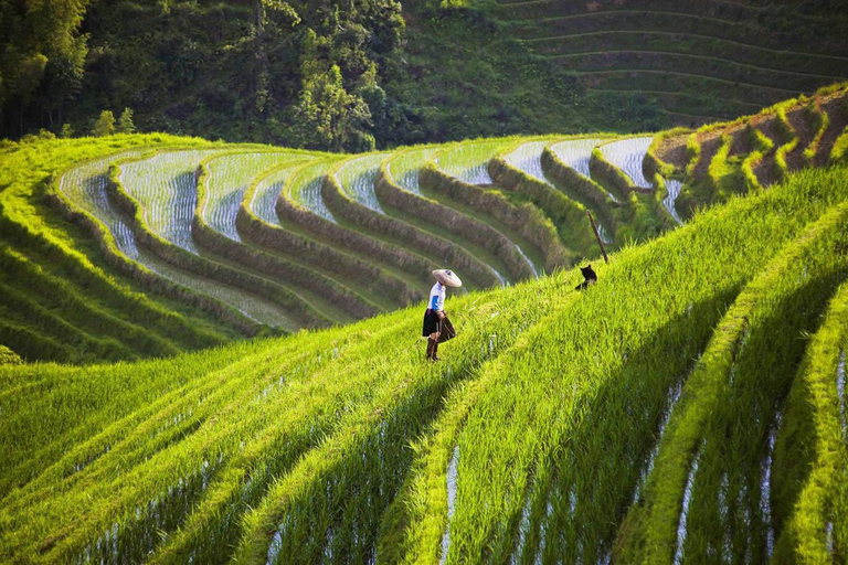 5 DAY TOUR - THE ESSENCE OF GUILIN