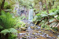 Melbourne, 12 Apostles, Great Otways and Great Ocean Road - Housity