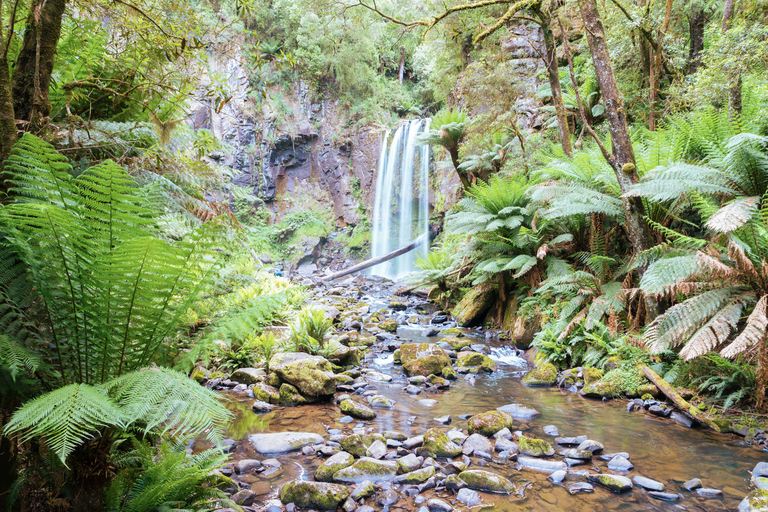 Melbourne: 12 Apostel, Great Otways und Great Ocean Road