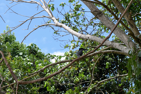 Duluti-See: Kanufahren, Naturwanderung und ExtraKajakfahren, Spaziergang in der Natur und Töpferkurs