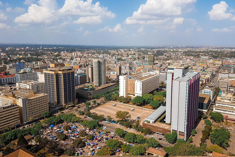 Parc national de Nairobi : visite d&#039;une demi-journée privée