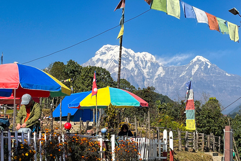 Campamento australiano y Dhampus: tour privado de senderismo de 2 díasCampamento Australiano y Dhampus: tour privado de senderismo de 2 días