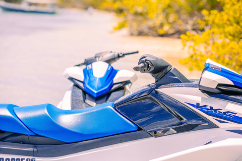 Jetski-tocht van 1 uur door de mangroves en rond het eilandje Guadeloupe1 uur jetskiën in de mangroves en rond het eilandje van Guadeloupe