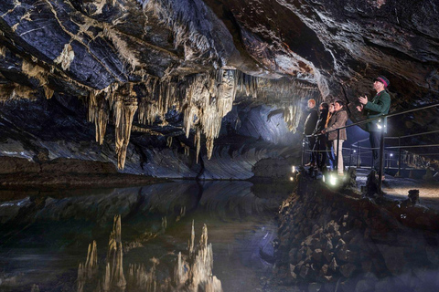 Von Brüssel aus: Geführte Tour zur Höhle von Han und DinantVon Brüssel aus: Die Höhle von Han und Dinant