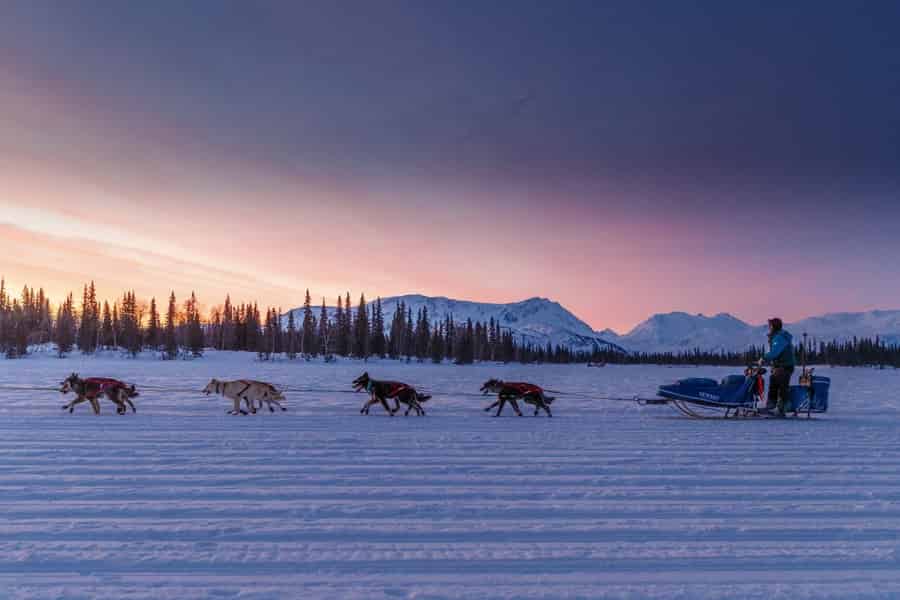 Knik: Winter-Hundeschlittentour. Foto: GetYourGuide Knik: Winter-Hundeschlittentour. Foto: GetYourGuide
