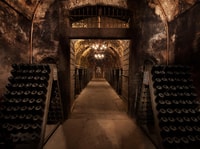 Halbtages Essen und Weinerlebnis in Franciacorta - Housity