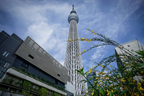 Tokyo Unforgettable Private Tour for Family(up-to 6 persons)