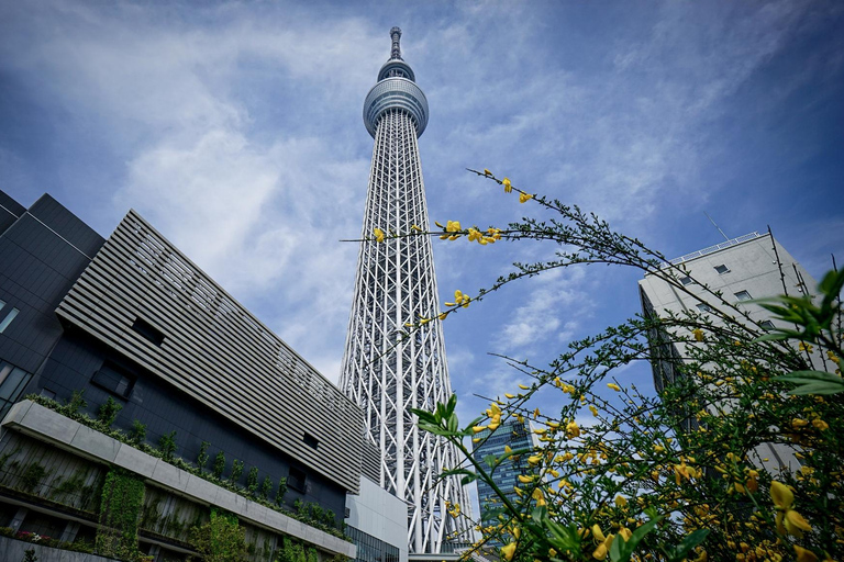 Tokyo Unforgettable Private Tour for Family(up-to 6 persons)