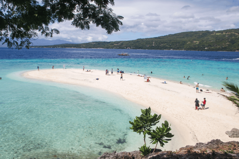 Cebu Oslob Whaleshark, Tumalog Falls i Sumilon Island (prywatnie)Dodatkowo wyspa Sumilon i wodospady Tumalog (wycieczka prywatna)