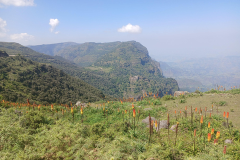 From Gondar 7-Day Simien Mountains Trekking Tour