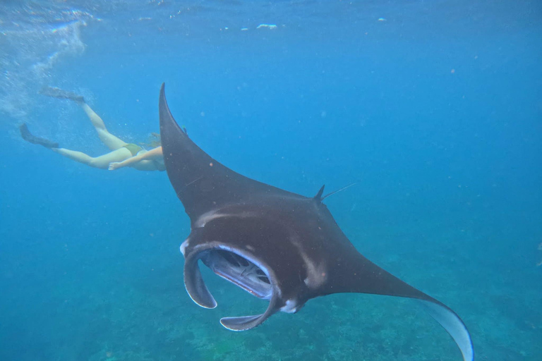 Bali/Nusa Penida: Private Snorkeling With Guide & West Tour Transfer from Sanur Area