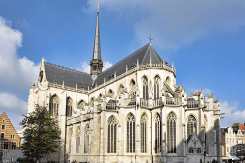 Belgique : Excursion à Malines et Louvain en train