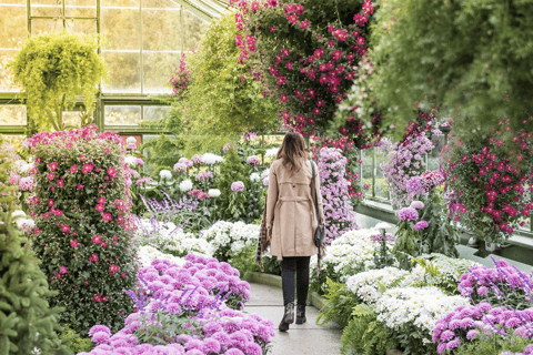 Niagara Falls: Explore Pass Top Attractions + Unlimited WEGO