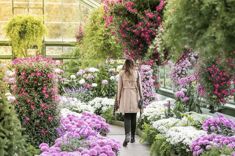 Niagara Falls: Explore Pass Top Attractions + Unlimited WEGO