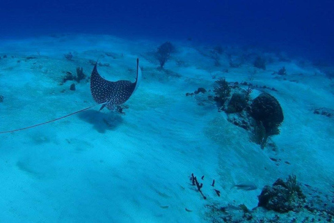 Cancun: Snorkeling Tour z odbiorem z hotelu