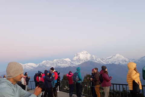 Ghorepani: Wanderung auf dem Poon HillStandard-Option