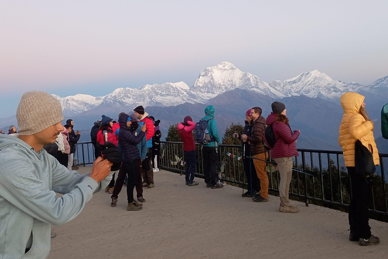 Ghorepani: Wanderung auf dem Poon HillStandard-Option