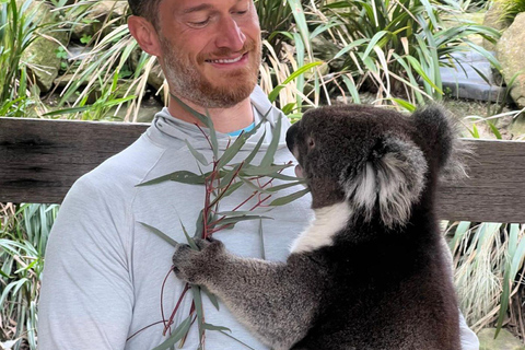 Vanuit Adelaide: Knuffel een Koala en historische Hahndorf Tour