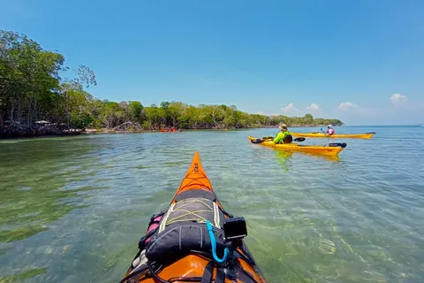 Cartagena: Barú Island Kayak Tour with Lunch & Pickup