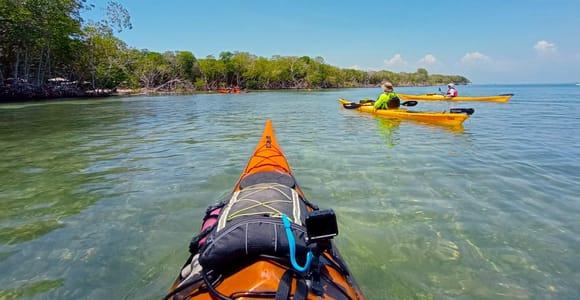 Cartagena: Barú Island Kayak Tour with Lunch & Pickup