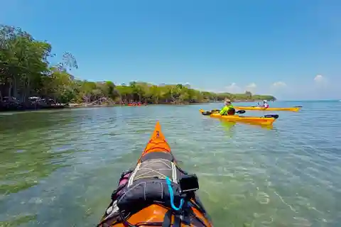 Cartagena: Barú Island Kayak Tour with Lunch & Pickup