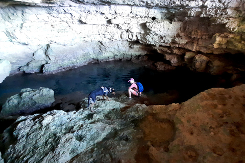 Gozo Unveiled: Guided Hiking in Comino Island