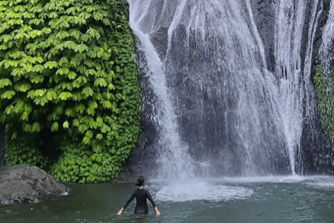 单人旅行者专属：巴厘岛北部寺庙与瀑布豪华厢式车之旅单人旅行者北巴厘岛寺庙与瀑布豪华厢式车之旅