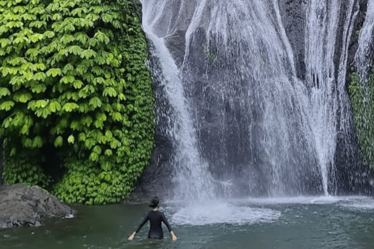 单人旅行者专属：巴厘岛北部寺庙与瀑布豪华厢式车之旅单人旅行者北巴厘岛寺庙与瀑布豪华厢式车之旅