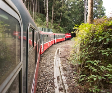 Alishan: one-way private transfer to or from Chiayi City