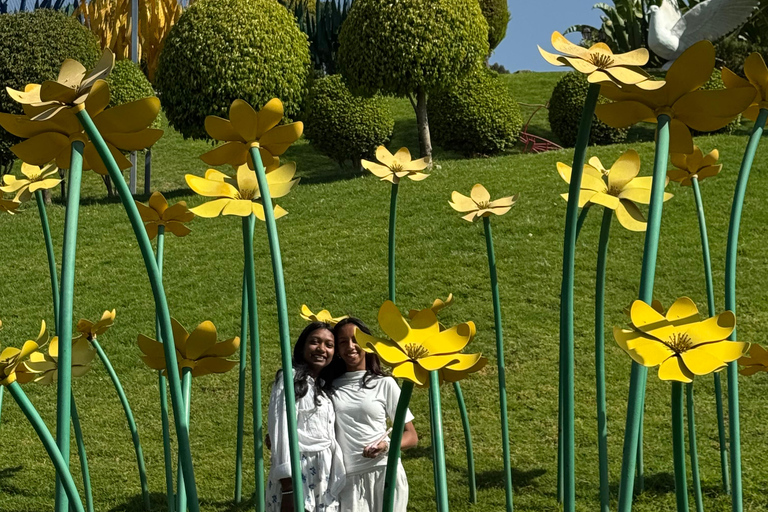 Addis Ababa Layover Tour: Unity Park, Coffee & Local Lunch