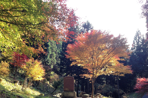 From Tokyo: Mountain Ridge Hike &amp; Scenic Waterfall Day TourHanno Ridge and Waterfall Guided Hiking Tour (1-2 People)