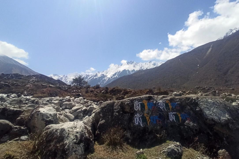 Von Kathmandu aus: 7-tägiger Langtang Trek mit Unterkunft