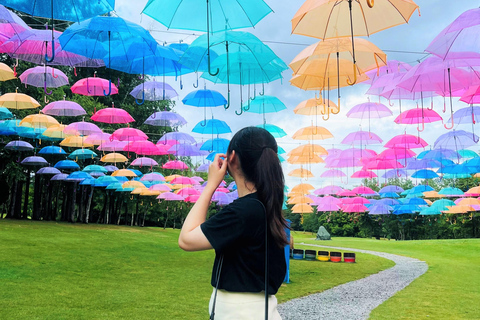 Furano Lavender, Ningle Terrace & Melon Buffet Bus Tour S1-1 [Jun 20 - Aug 9]: Lavender & Buffet