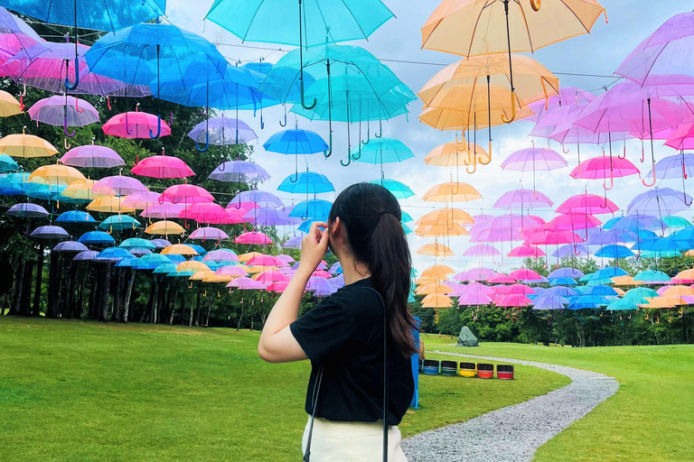 Furano Lavender, Ningle Terrace & Melon Buffet Bus Tour S1-1 [Jun 20 - Aug 9]: Lavender & Buffet