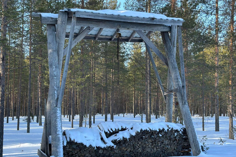 Helsinki: Buggy Ride, Reindeer Farm Visit, and Picnic