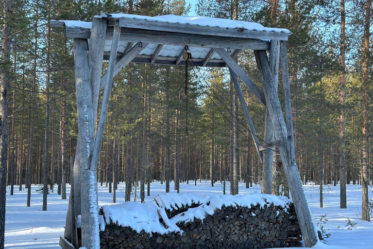 Helsinki: Buggy Ride, Reindeer Farm Visit, and Picnic